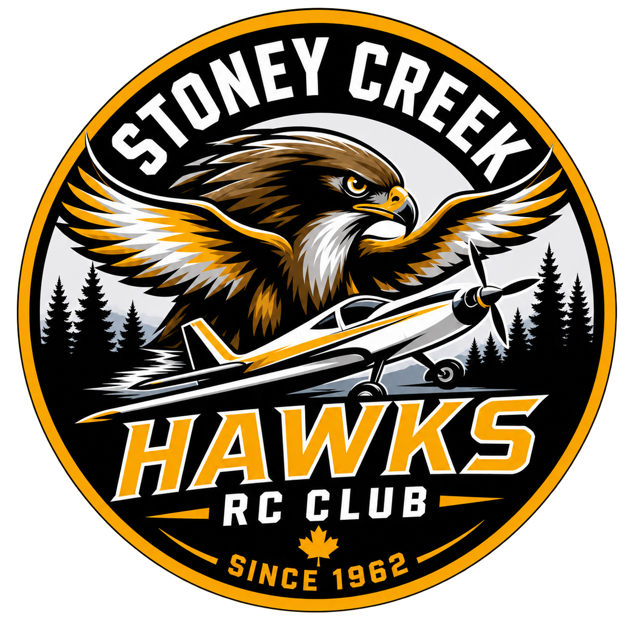 Stoney Creek Hawks RC Club logo